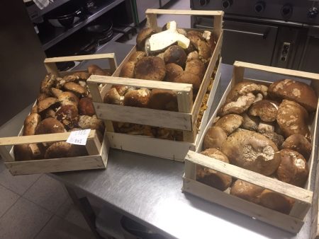 Funghi di stagione